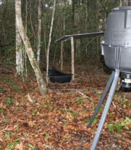 Bebedero artifical y comedor automatico_Ambos dispositivos instalados en la “UMA Centauro del Norte”, Calakmul; Campeche. Bebedero artifical y comedor automatico_Ambos dispositivos instalados en la “UMA Centauro del Norte”, Calakmul; Campeche.