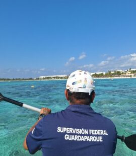 Gemini_Generated_Image_c00qm7c00qm7c00q Gemini_Generated_Image_c00qm7c00qm7c00q