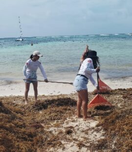 Gemini_Generated_Image_j2vlqyj2vlqyj2vl Gemini_Generated_Image_j2vlqyj2vlqyj2vl