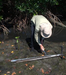 UNESCO ENCRUCIJADA MANGRES (4)