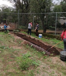 WhatsApp Image 2025-10-28 at 1.39.47 PM WhatsApp Image 2025-10-28 at 1.39.47 PM