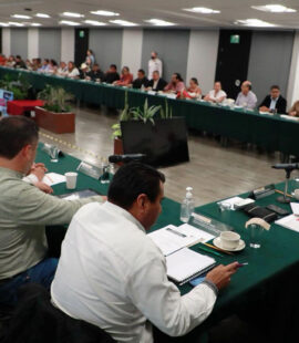 ci_nanp_01 ci_nanp_01