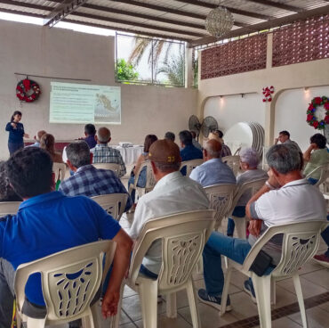 ci_nanp_04 ci_nanp_04