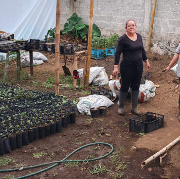 ds_ixhu_02 ds_ixhu_02