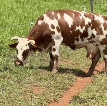 Screenshot Screenshot