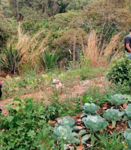 ds_prosaf_02 ds_prosaf_02