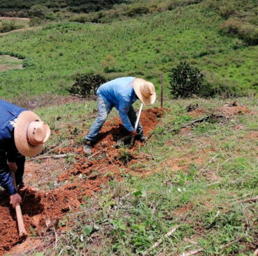 ds_prosaf_03 ds_prosaf_03