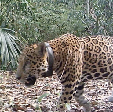 Screenshot Screenshot