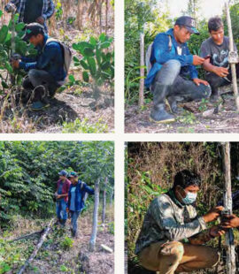 Screenshot Screenshot