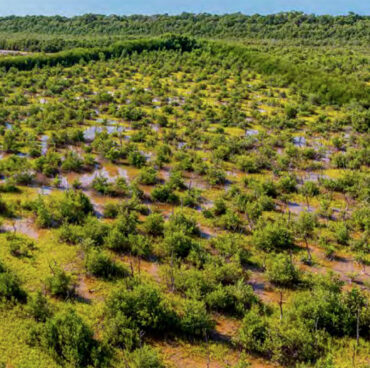 Screenshot Screenshot