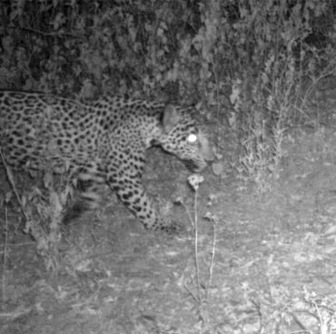 Screenshot Screenshot