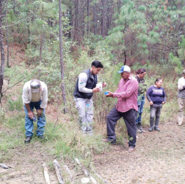 Screenshot Screenshot