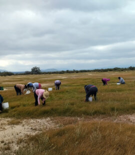 esp_pas_02 esp_pas_02