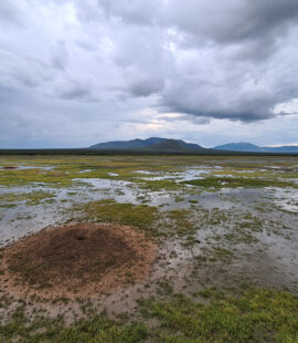 esp_pas_07 esp_pas_07