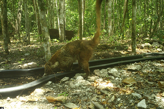 04darwin02